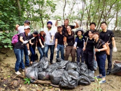 Mangrove-Cleanup