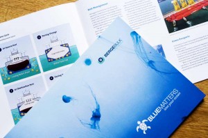 the-blue-matters-brochure
