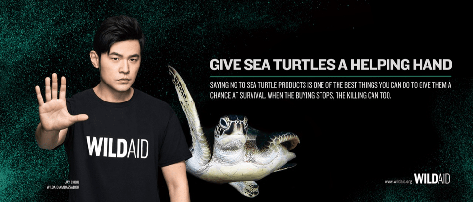 Say no to sea turtle products