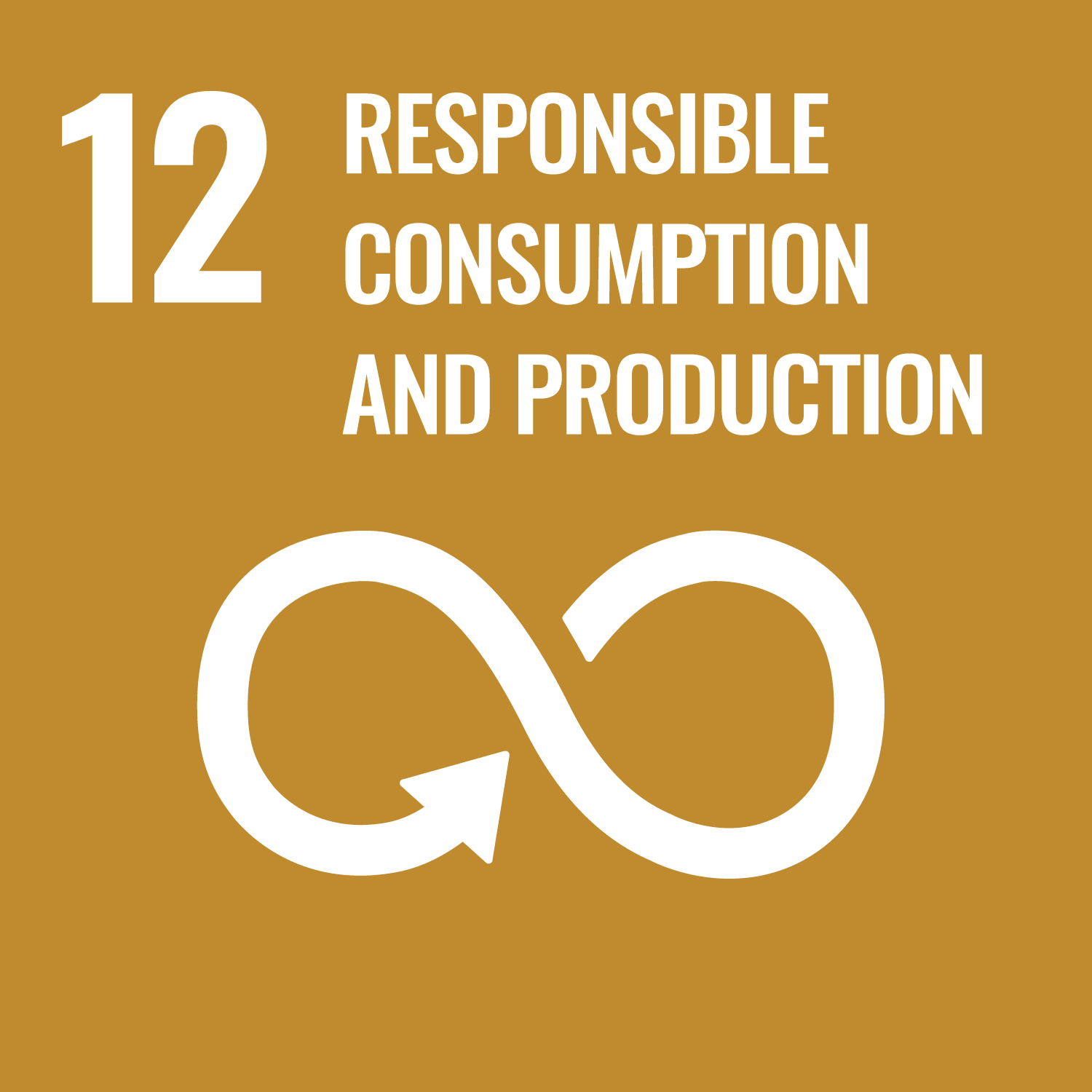 SDG Responsible Consumption & Production Icon
