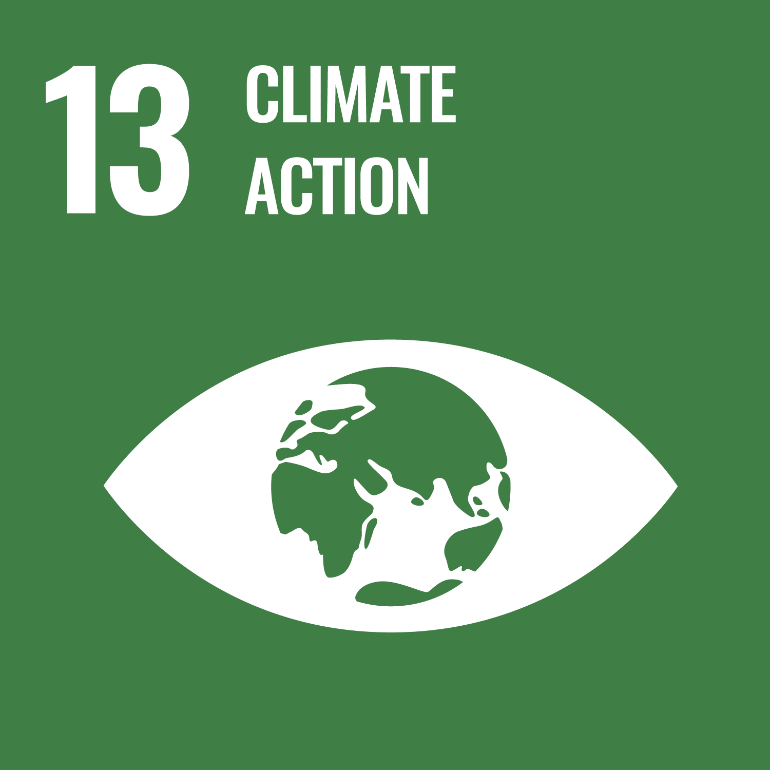 SDG Climate Action Icon