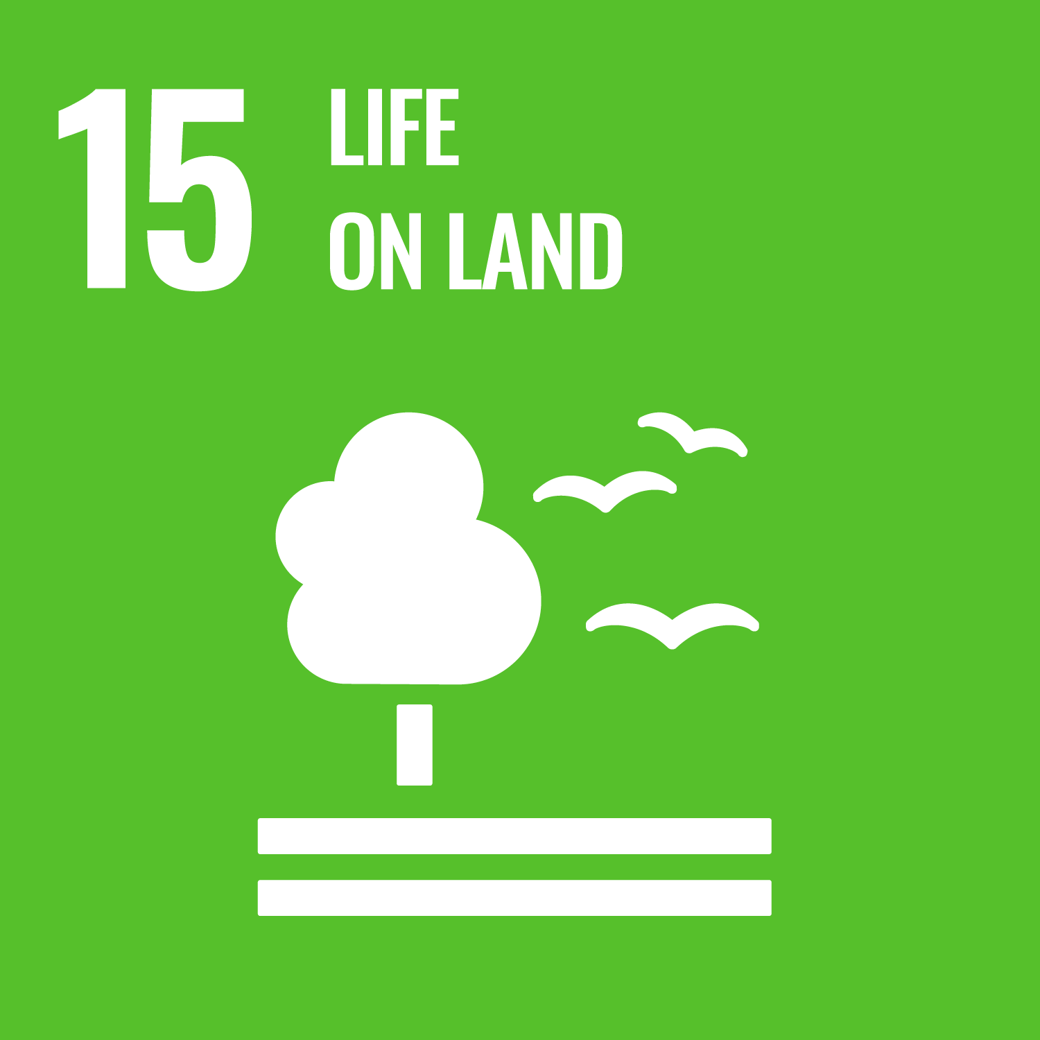 SDG Life on Land Icon