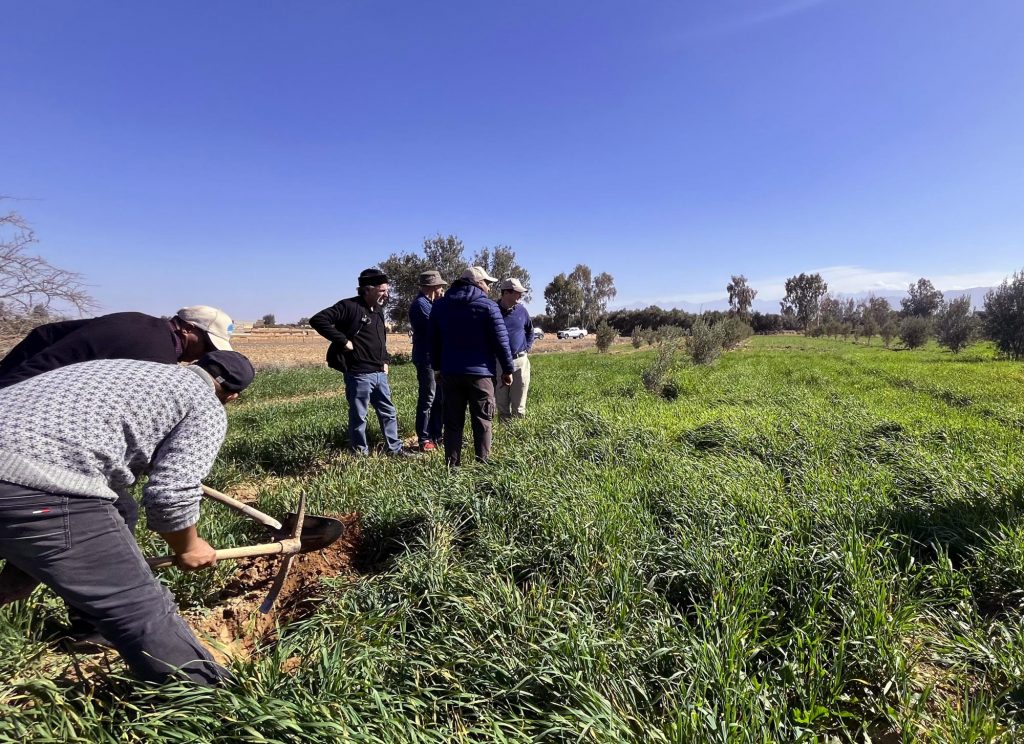 Planting fruit trees in Morocco with The High Atlas Foundation