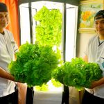 Harvesting fresh produce at sea