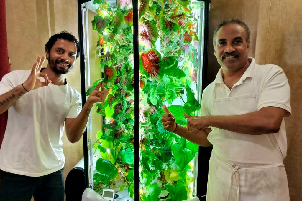 Growing fresh produce onboard Berge Bulk ships improves crew wellbeing and reduces food waste.